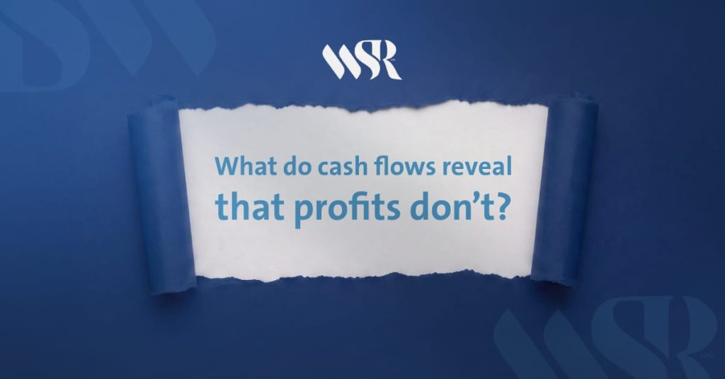 What Do Cash Flows Reveal That Profits Do Not